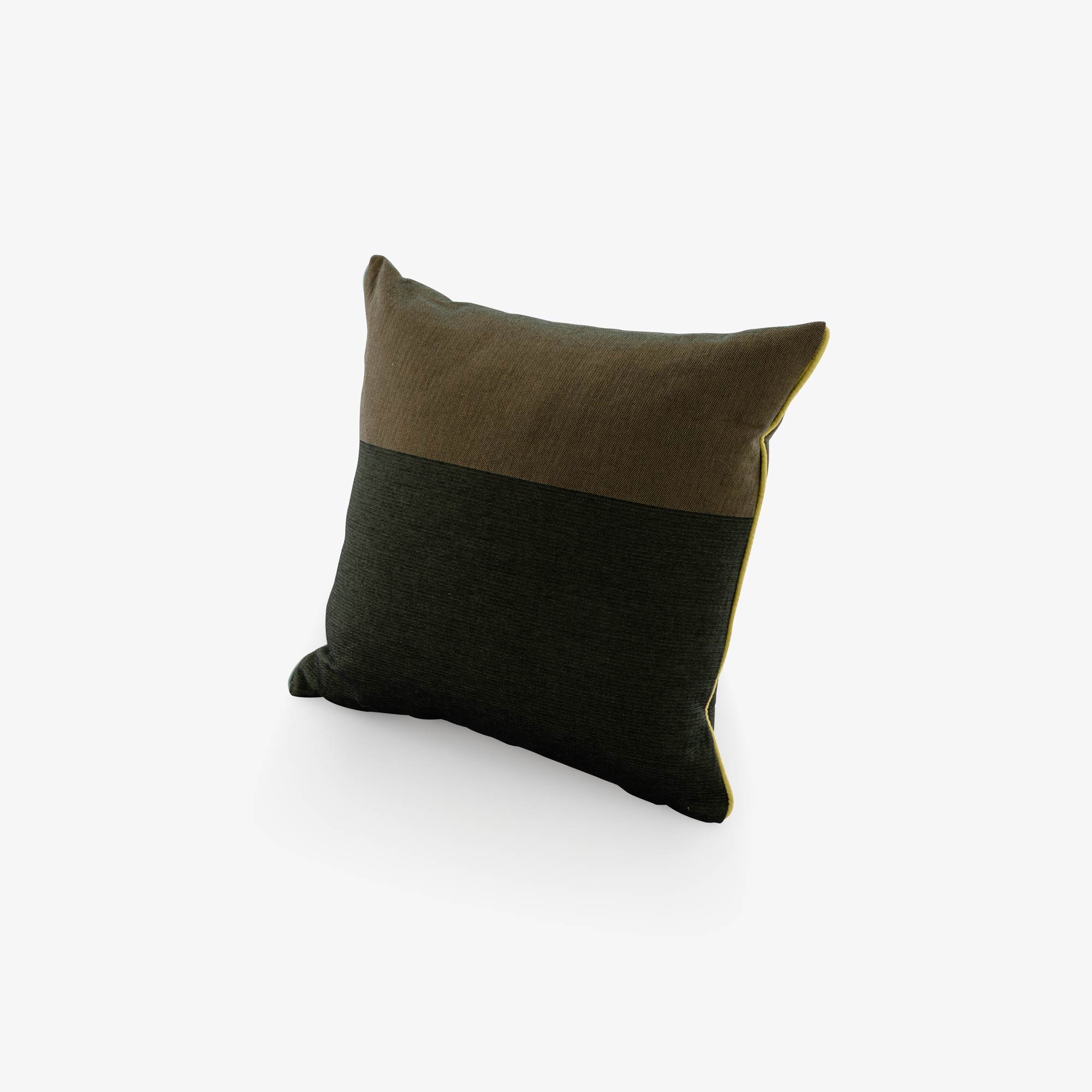 Image KISSEN KAKI / VERT  1