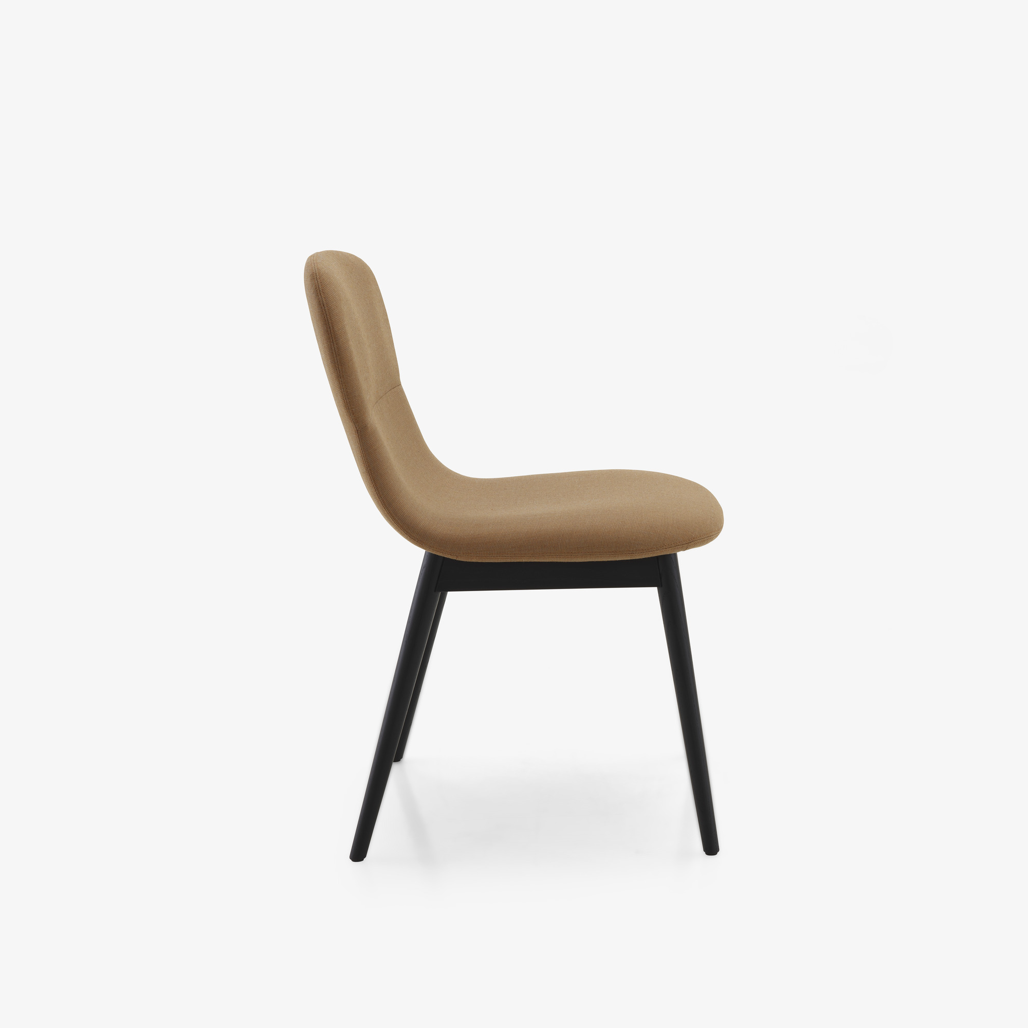 Image Chair - silvio 2