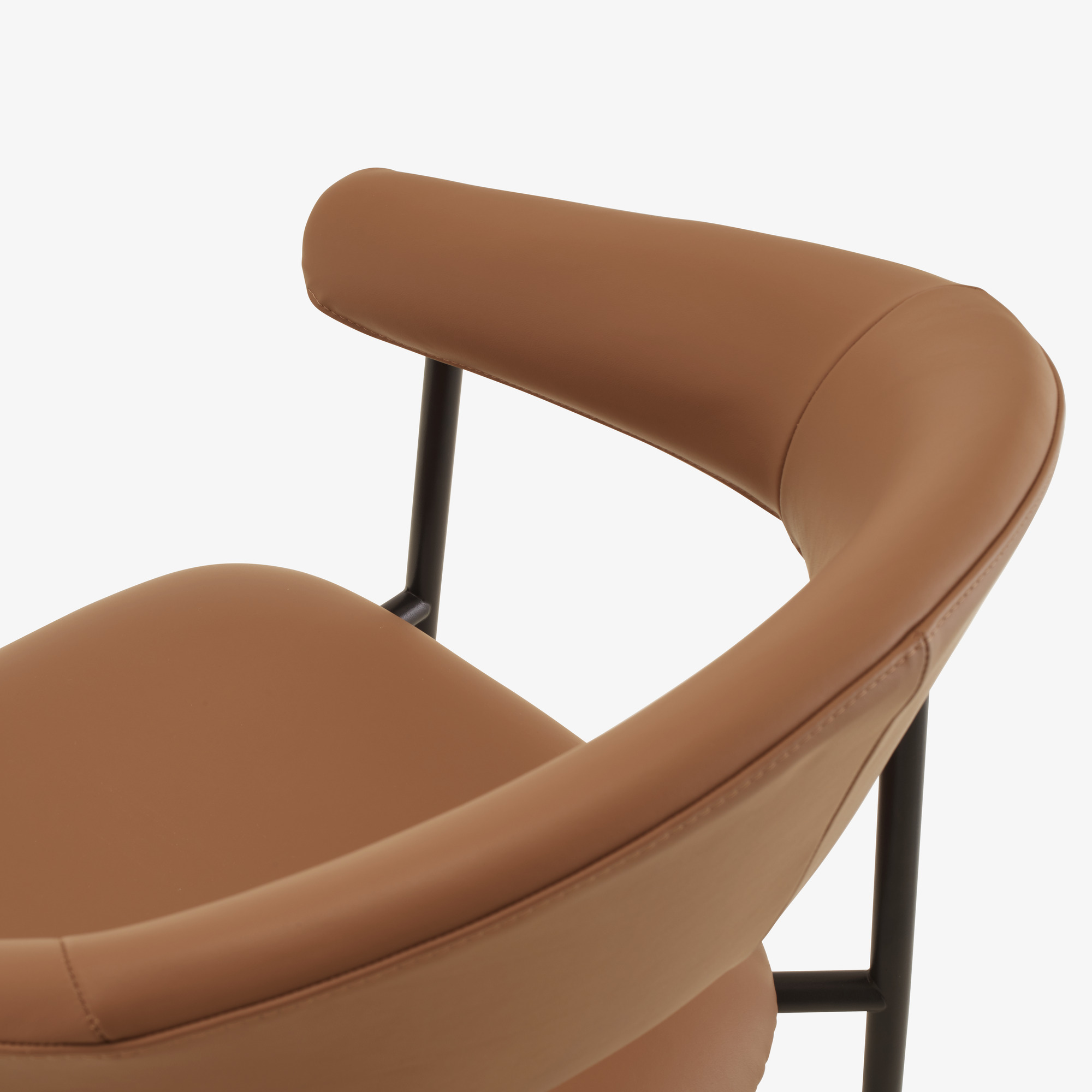 Image Chair with arms skiaccio 6