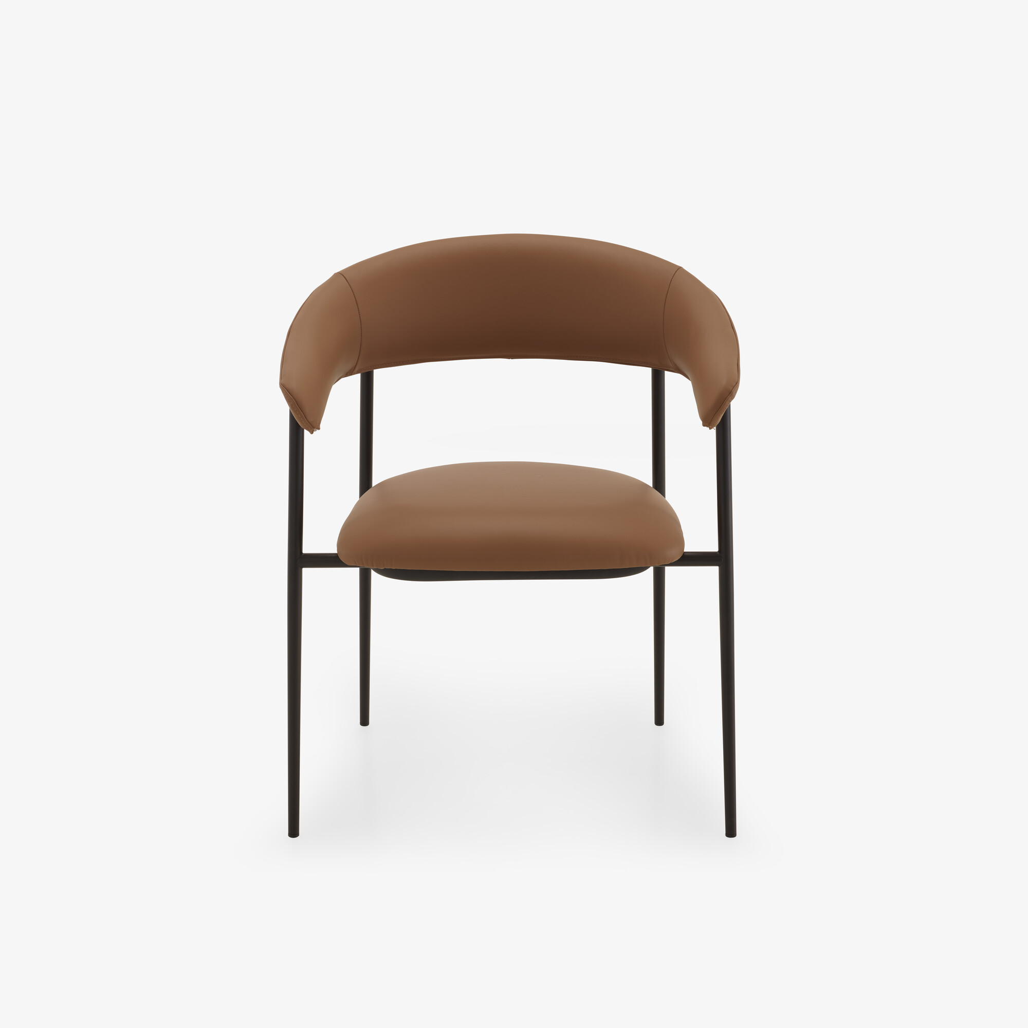 Image Chair with arms skiaccio 1