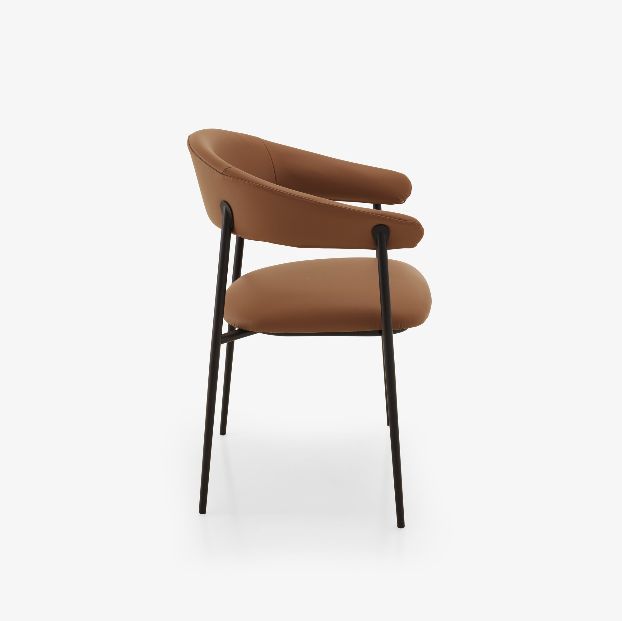 Image Chair with arms skiaccio 4