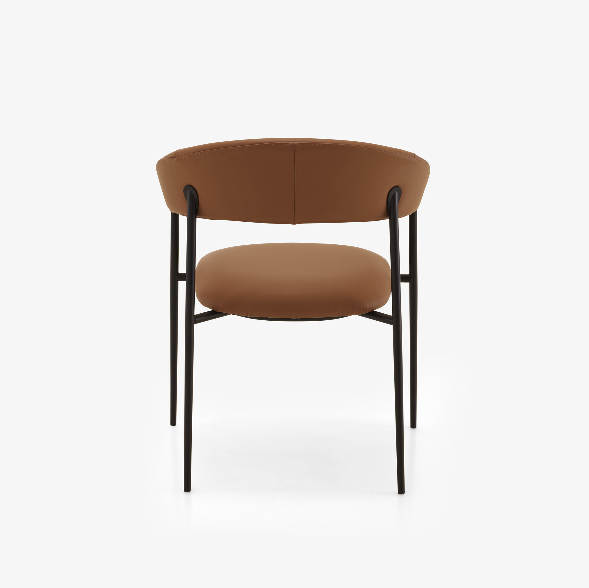 Image Chair with arms skiaccio 3