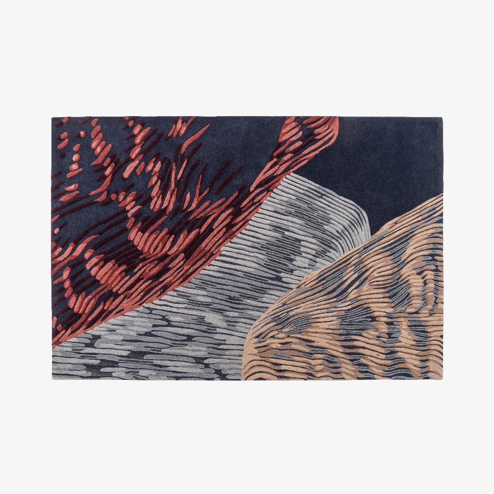 Image TAPIS  