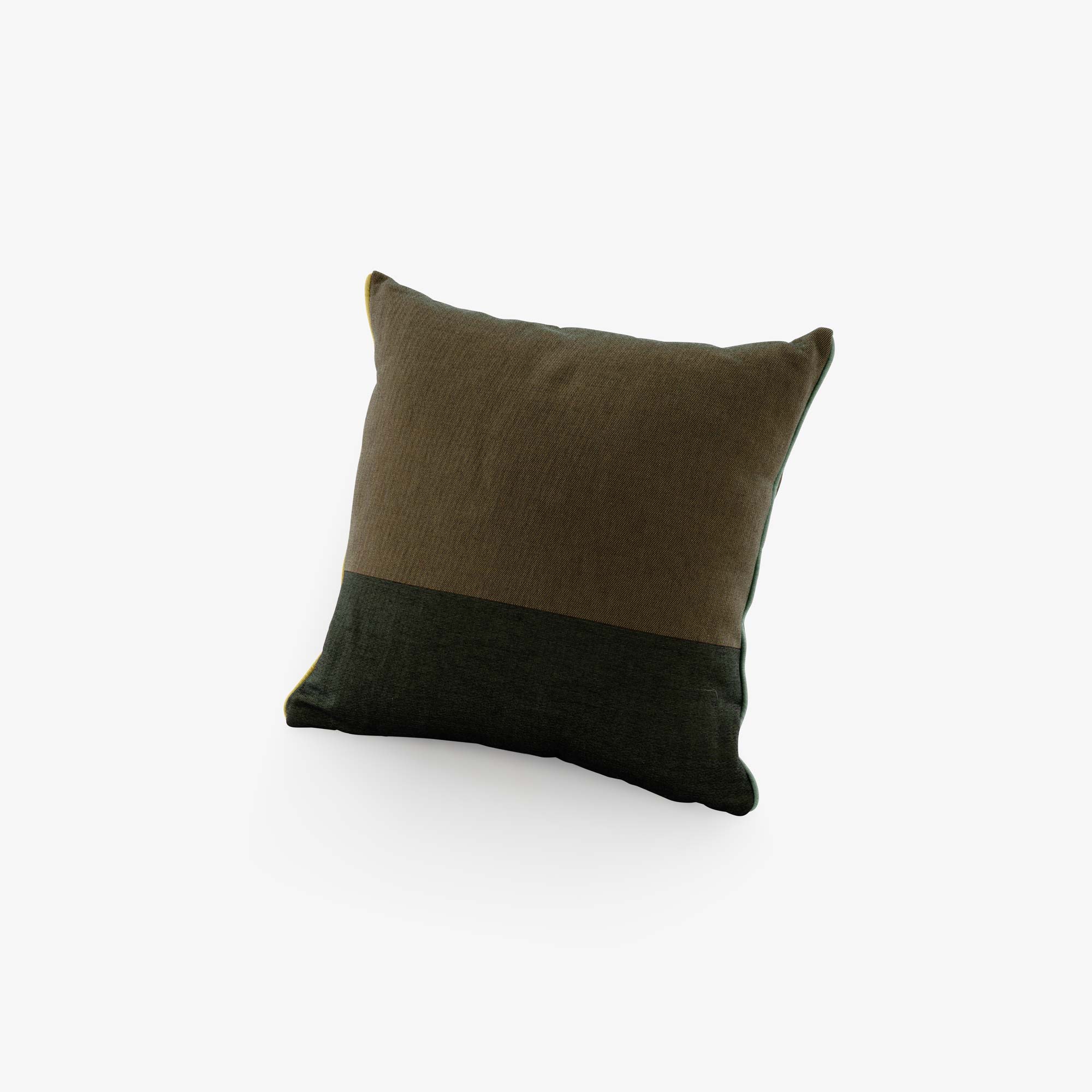 Image KISSEN KAKI / VERT  2