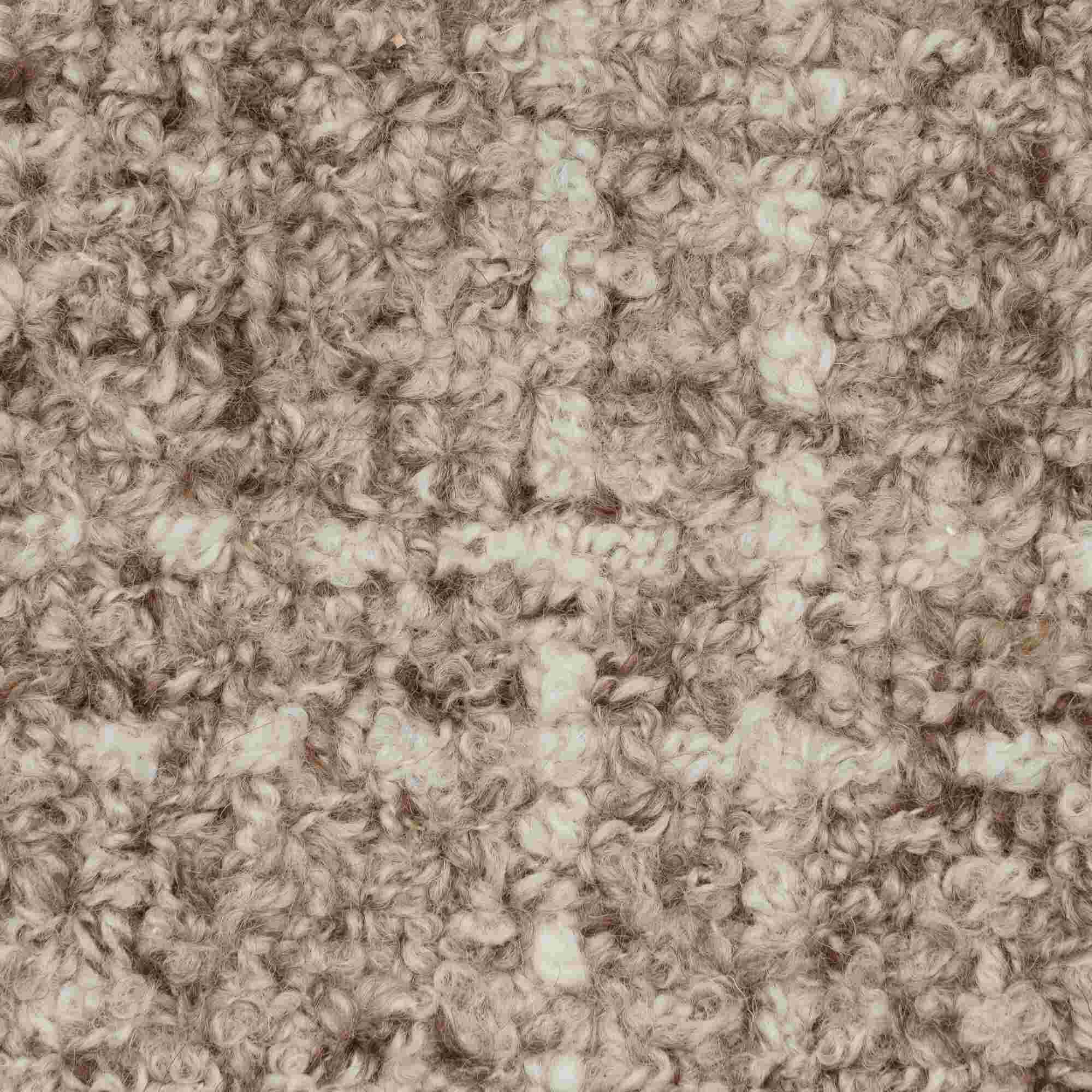 Image 地毯   3