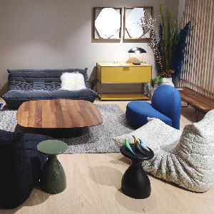 Image du magasin LIGNE ROSET SAINTE LUCE