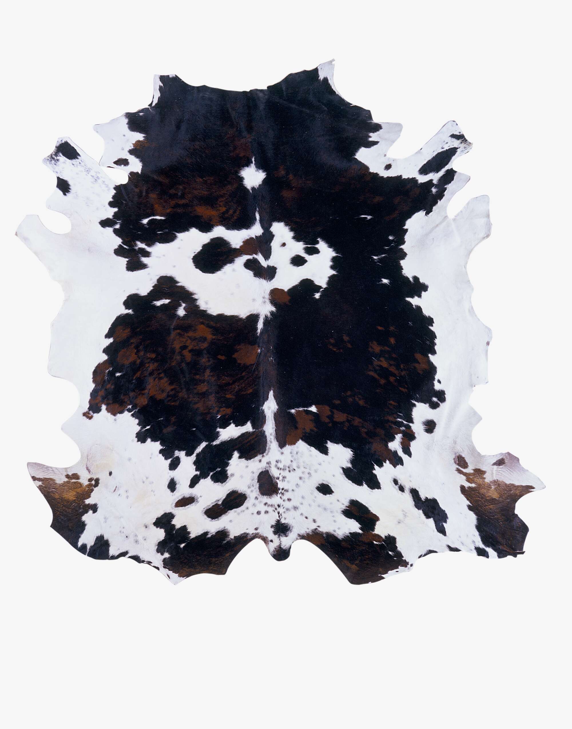 Image Rug 5