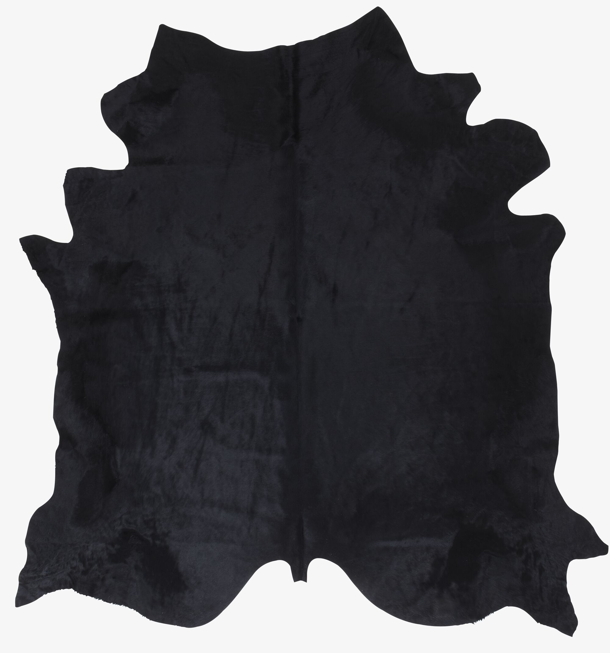 Image Rug 4