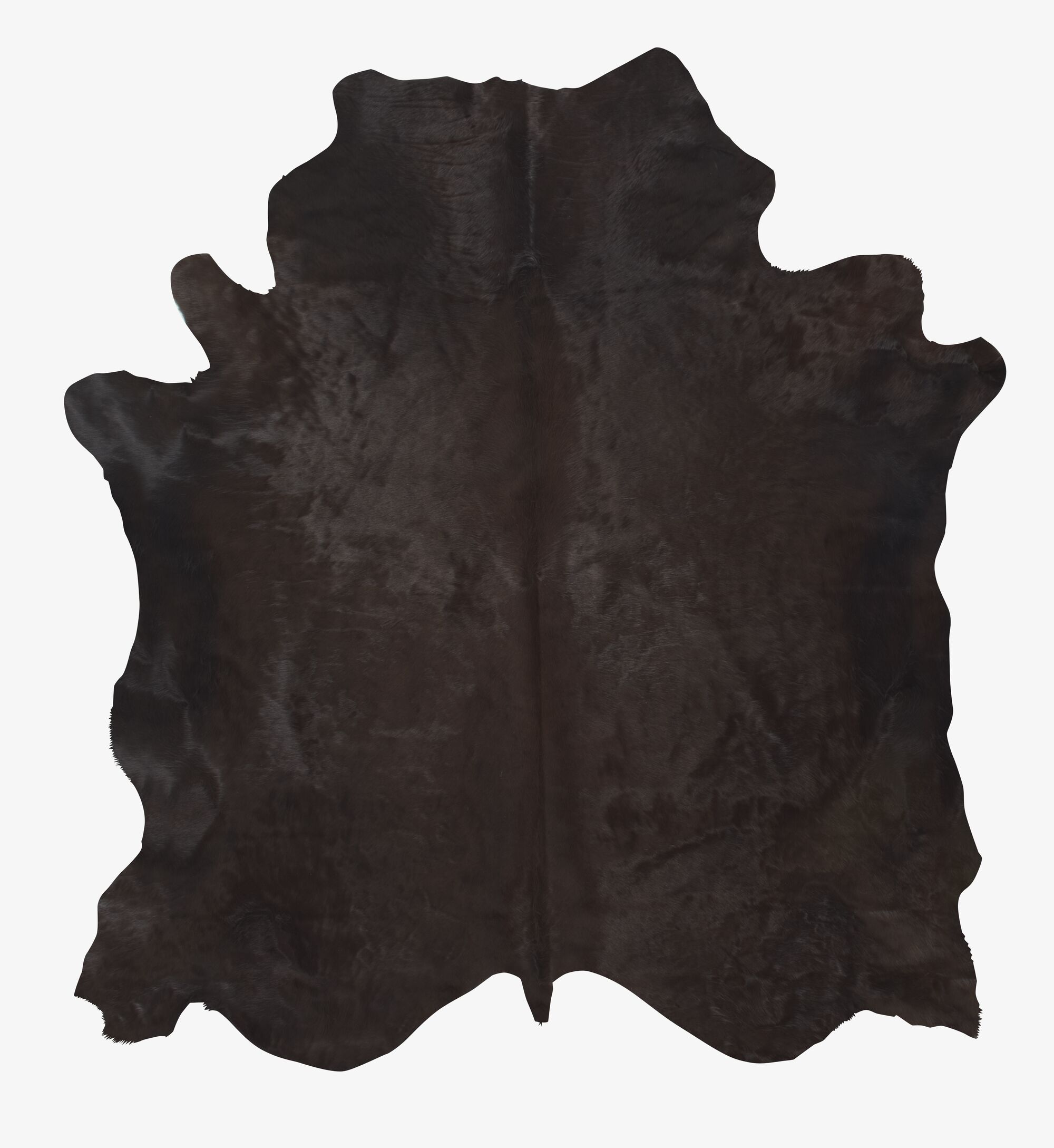 Image Rug 2