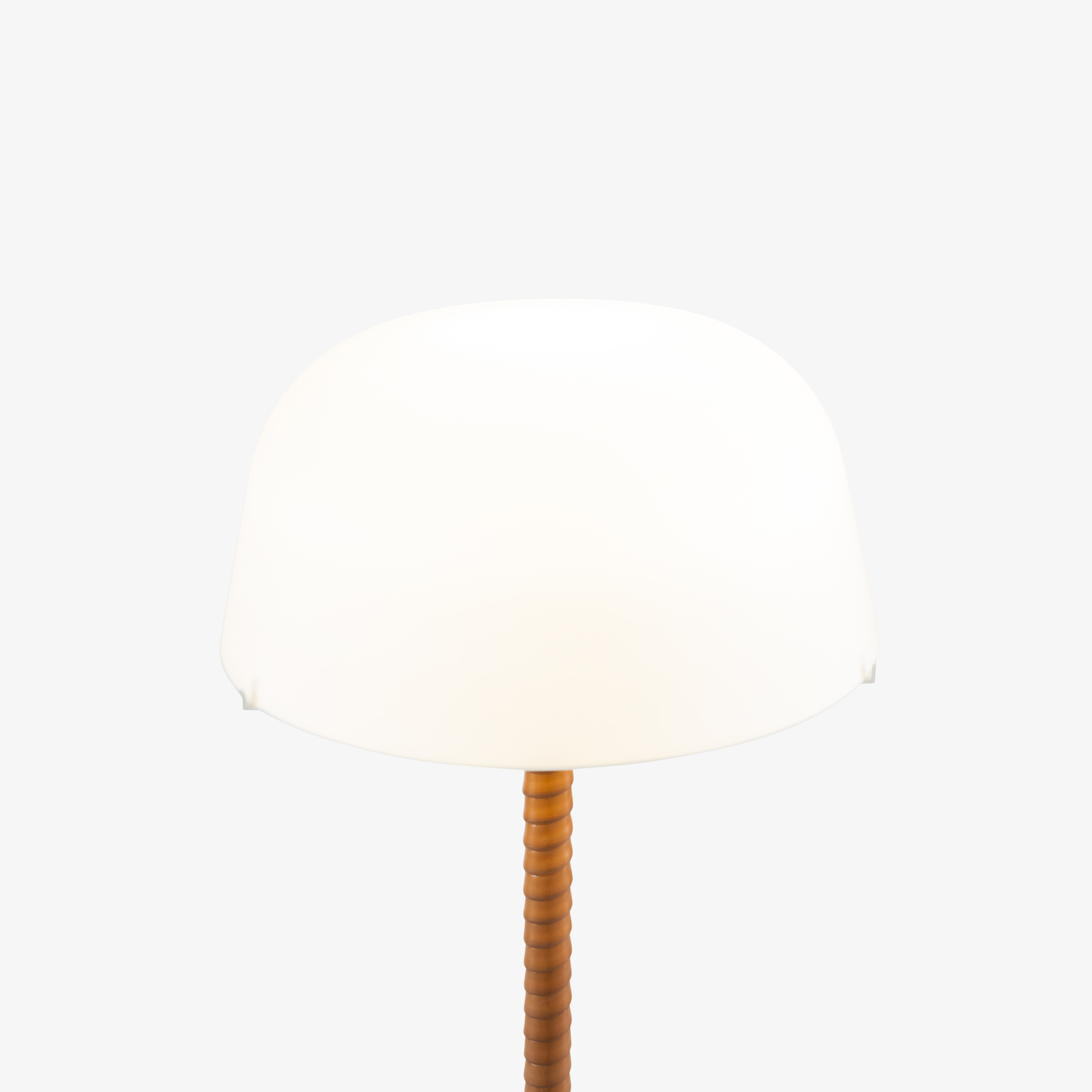 Image Floor standard lamp   2