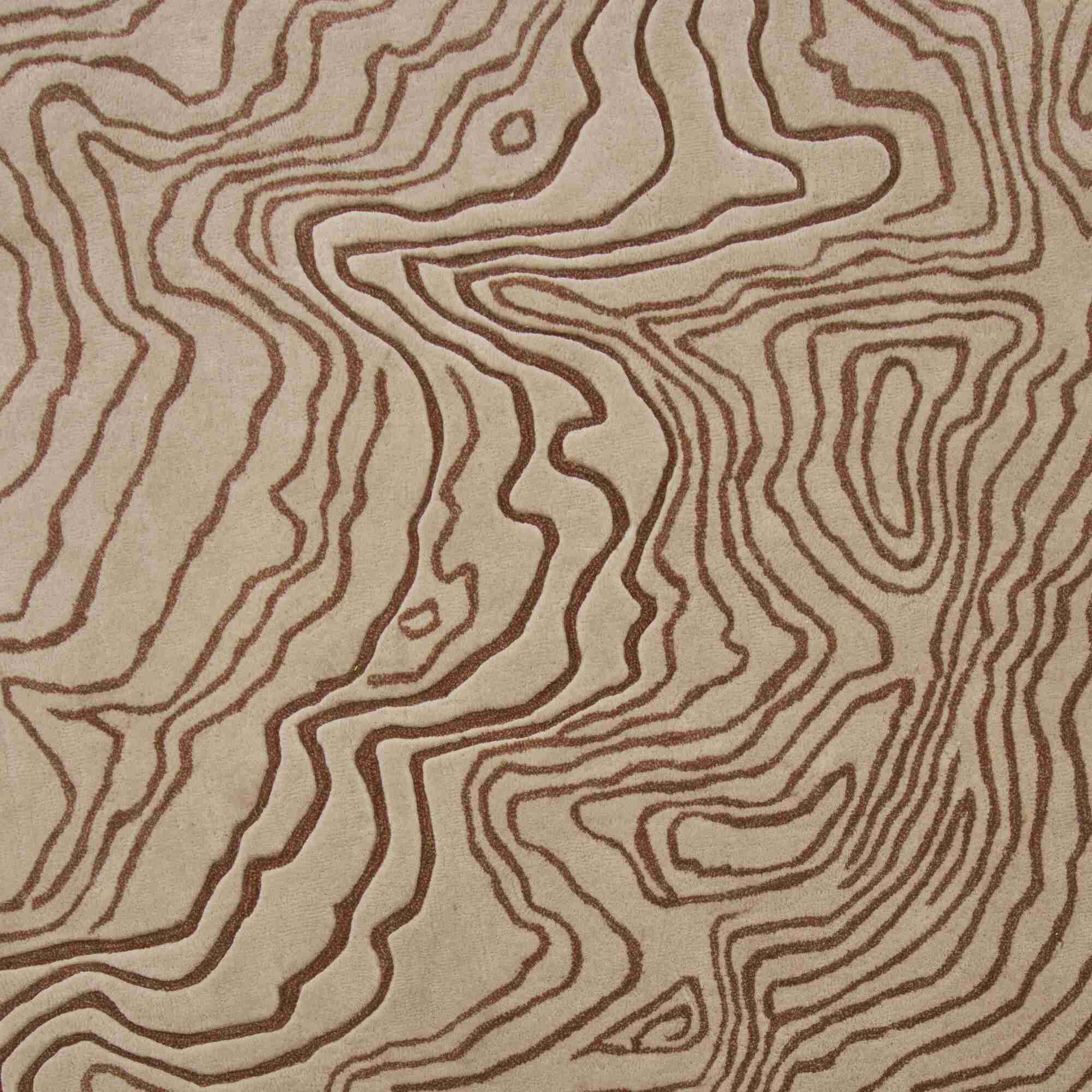 Image Rug   2
