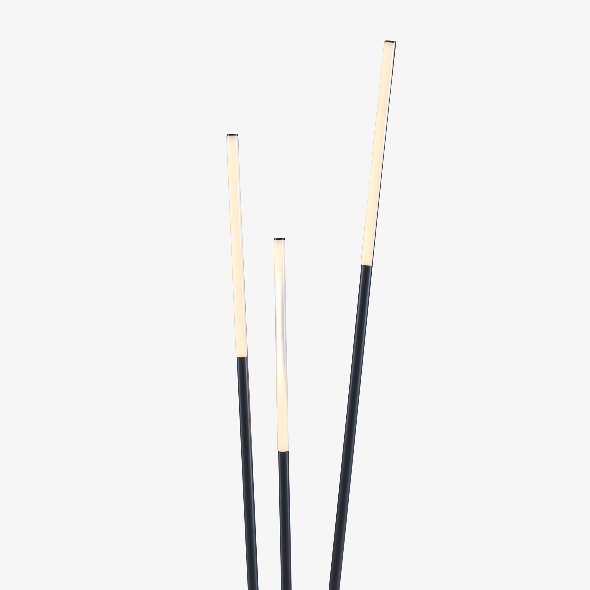 Image Floor standard lamp   3