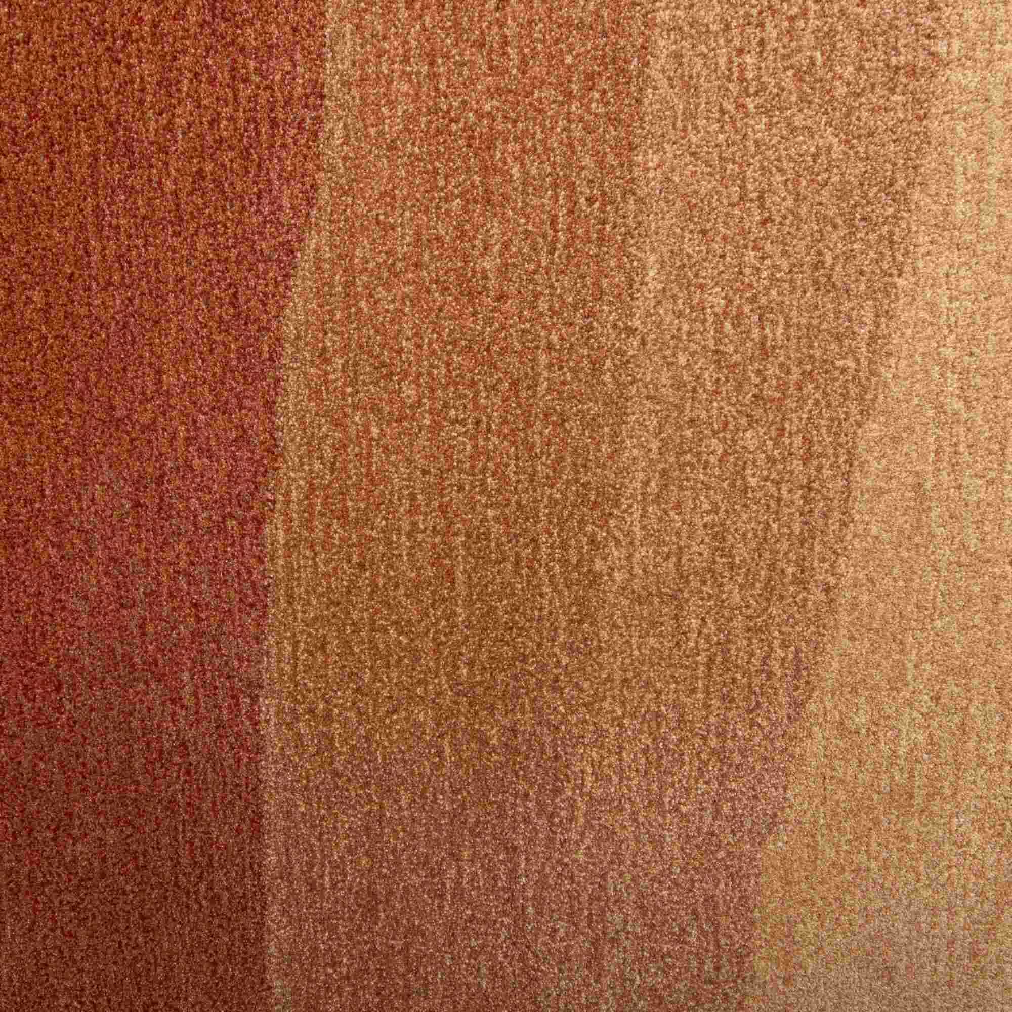 Image Rug   2