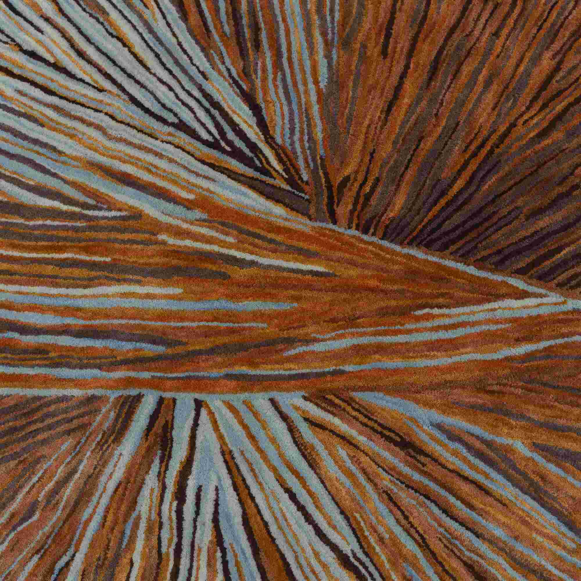 Image Rug   3