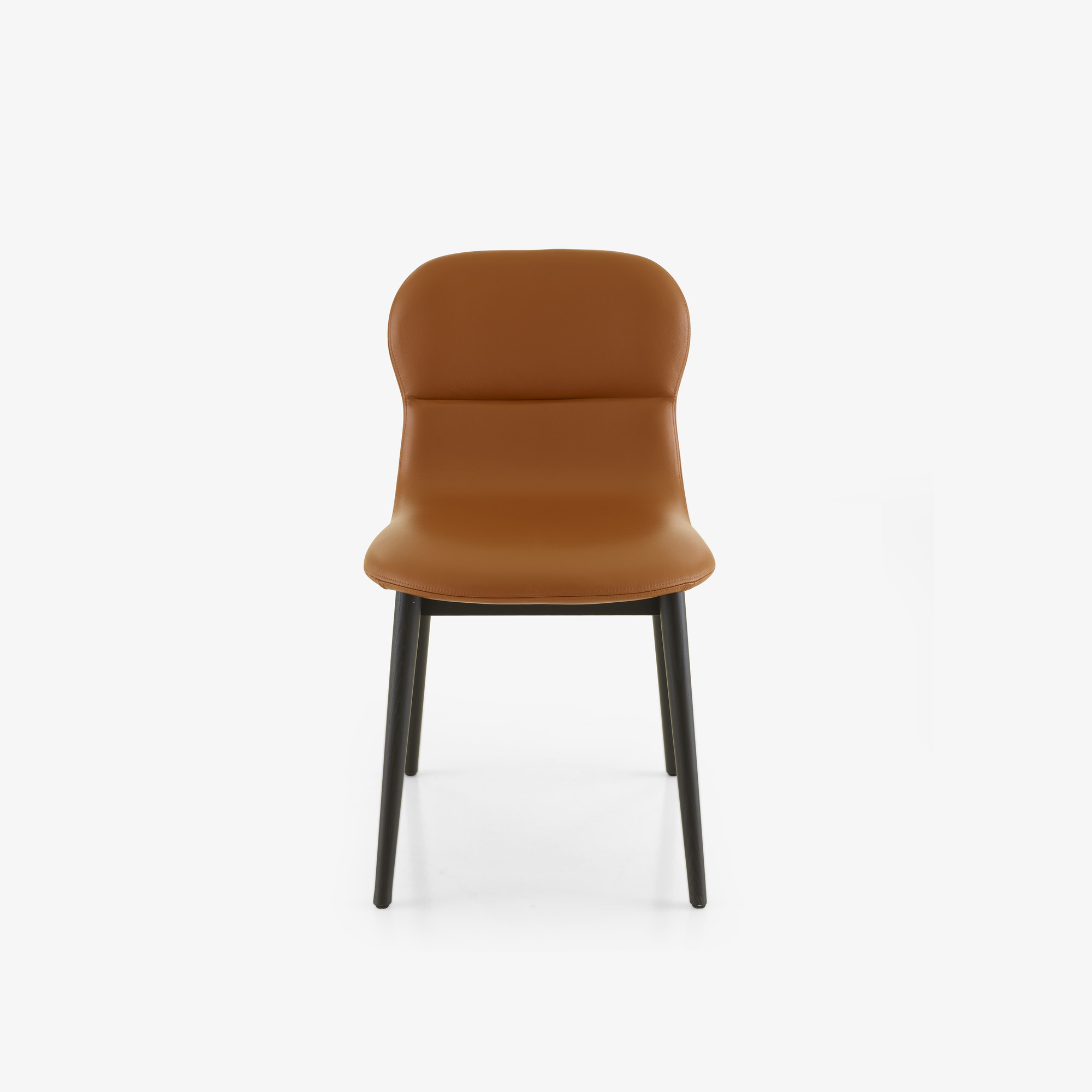 Image Chair - silvia leather version 1