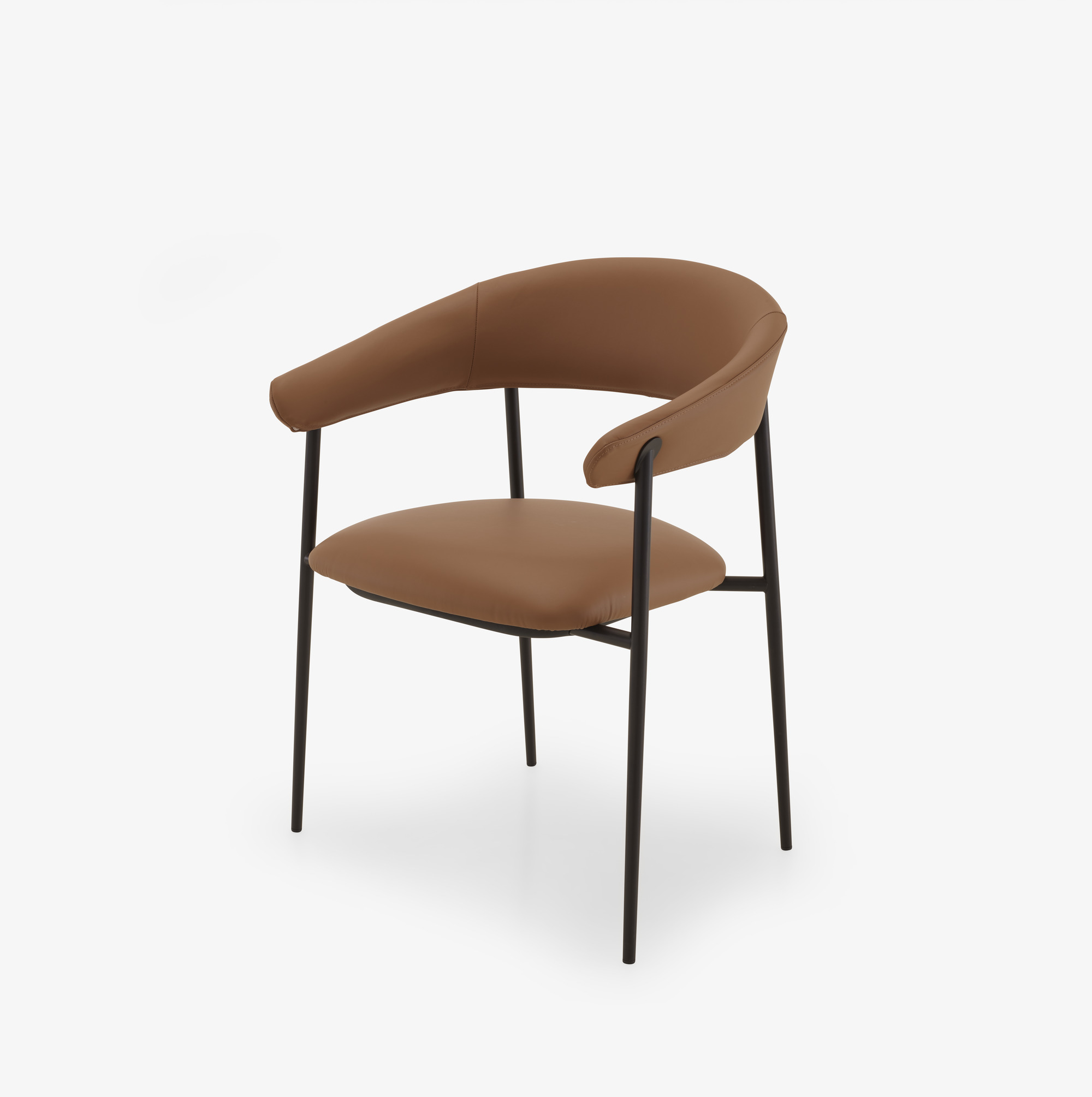 Image Chair with arms skiaccio 2