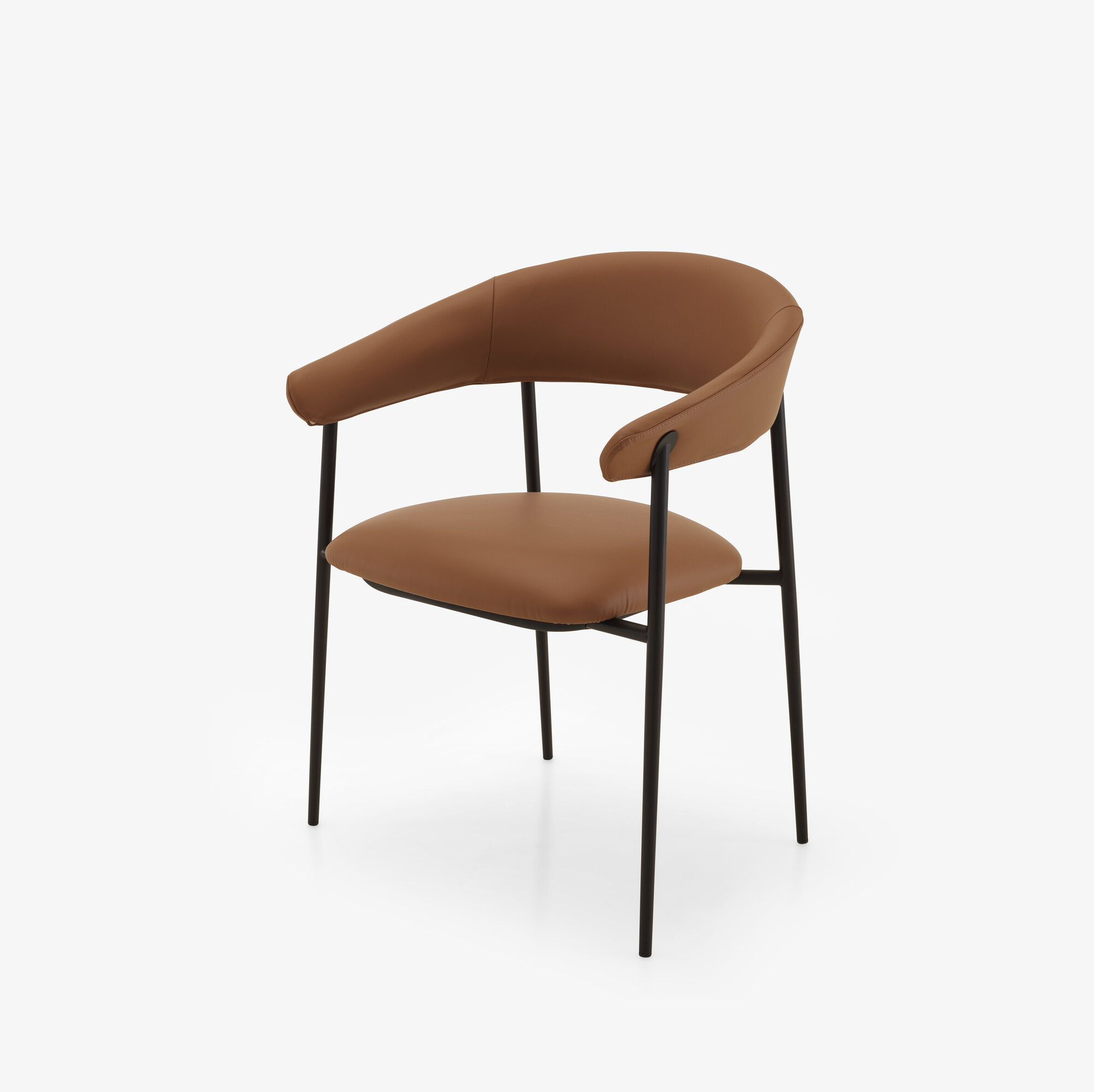 Image Chair with arms skiaccio 2