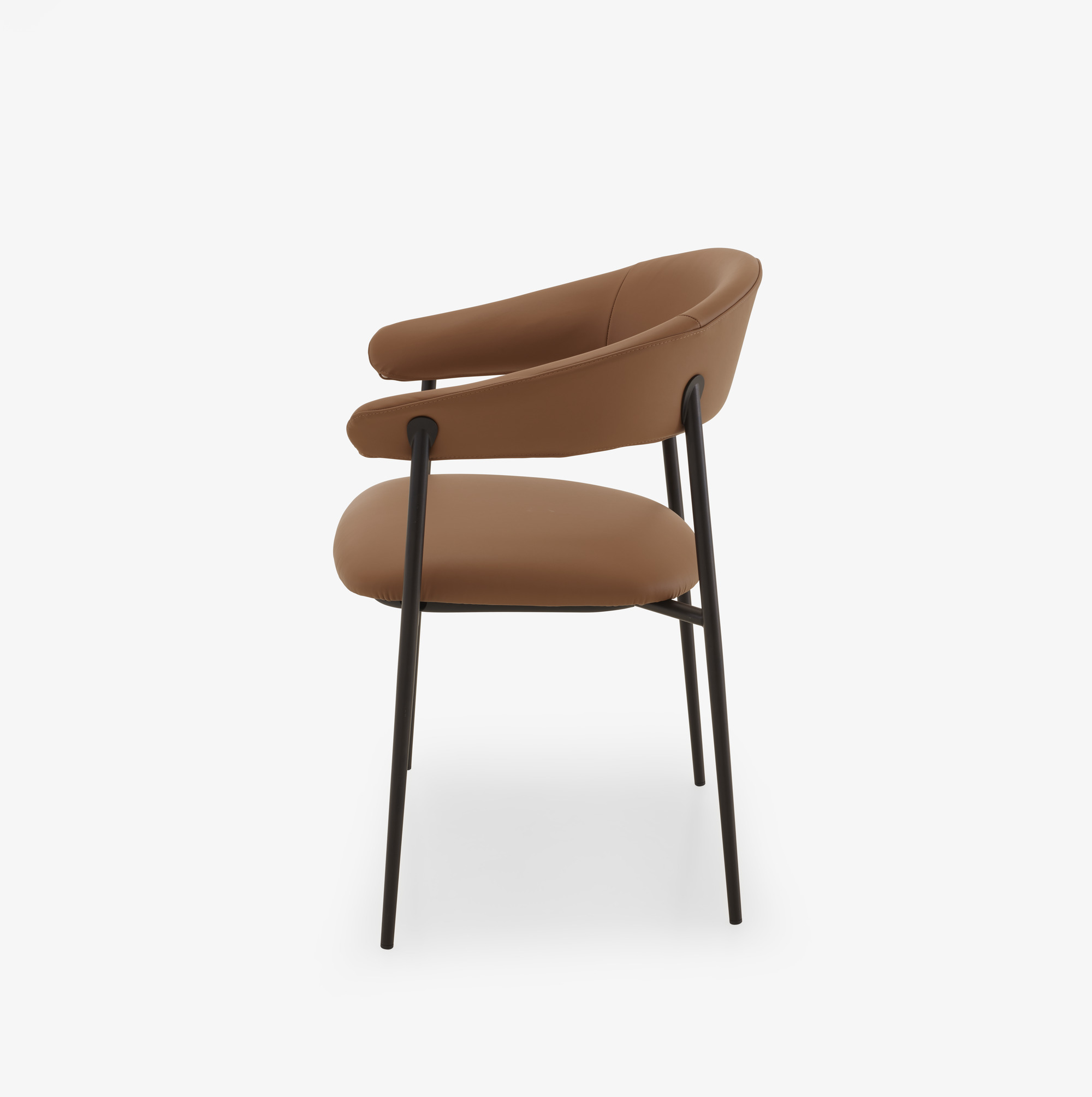 Image Chair with arms skiaccio 4