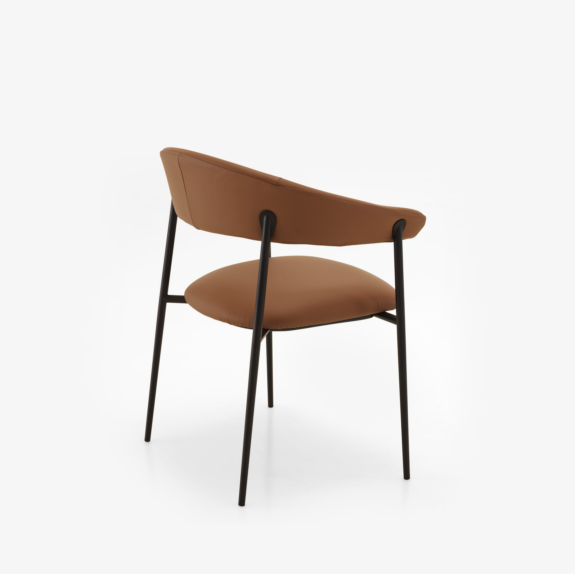 Image Chair with arms skiaccio 5