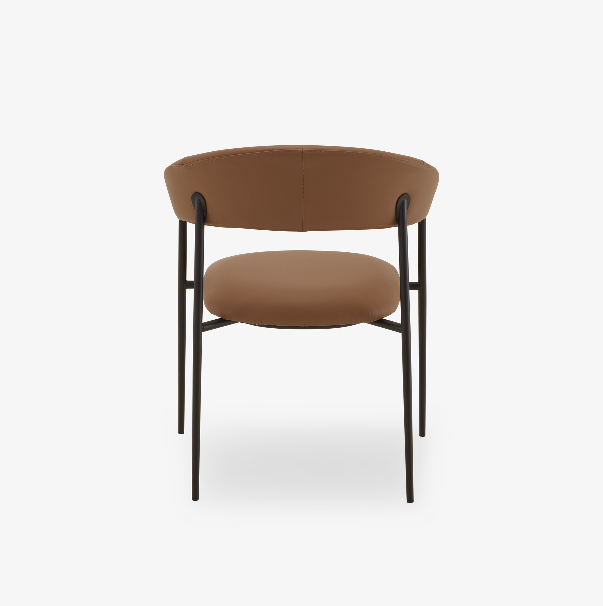 Image Chair with arms skiaccio 3