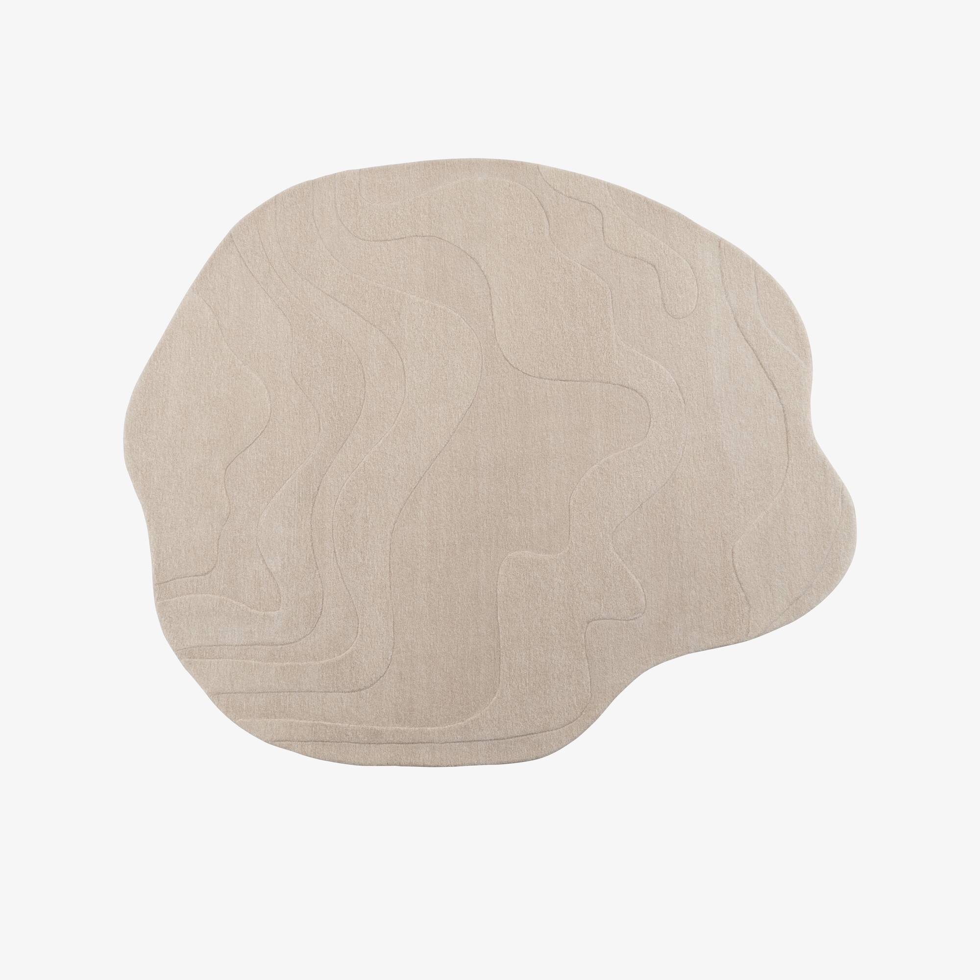 Image RUG CHINÉ BEIGE 