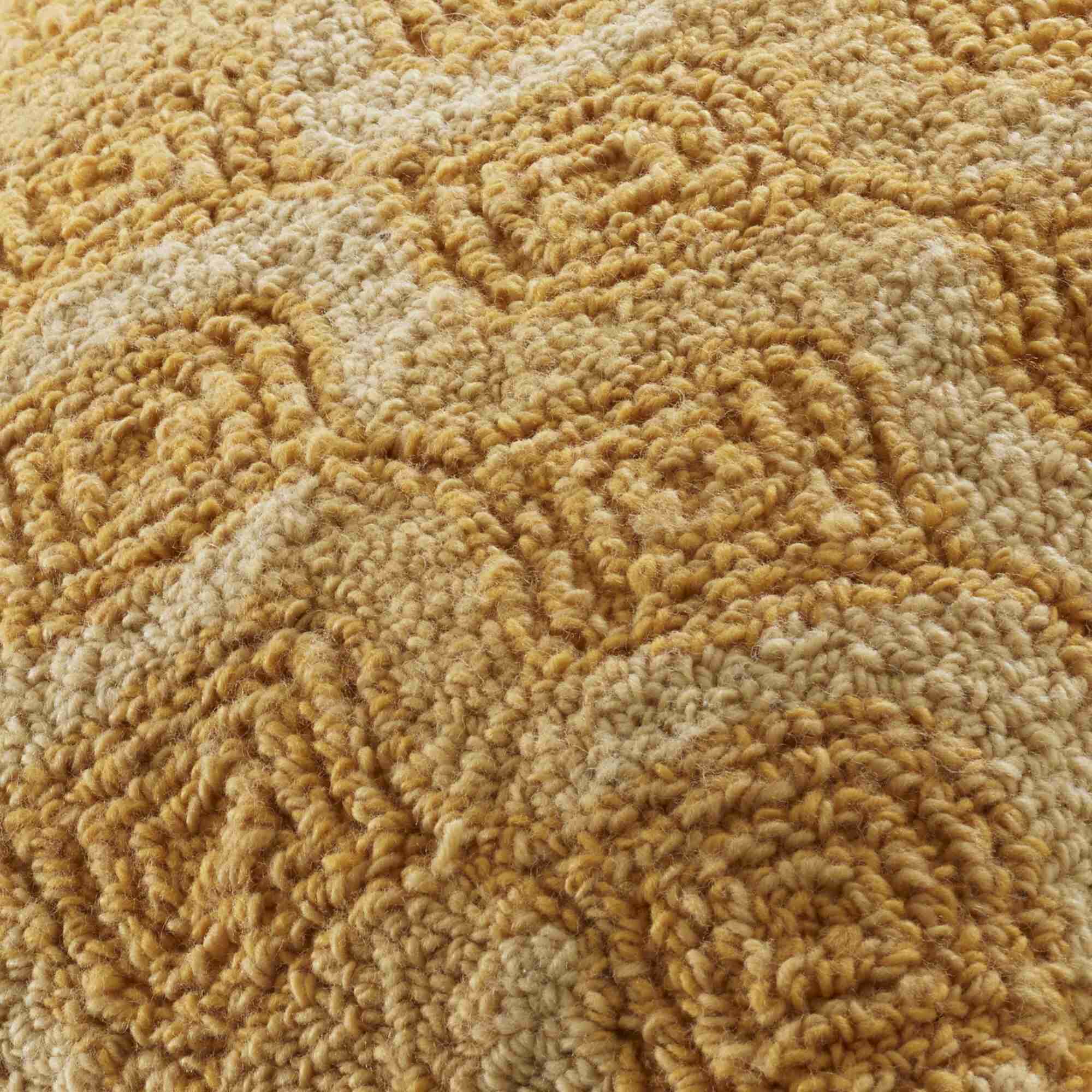 Image Housse de coussin gingembre  2