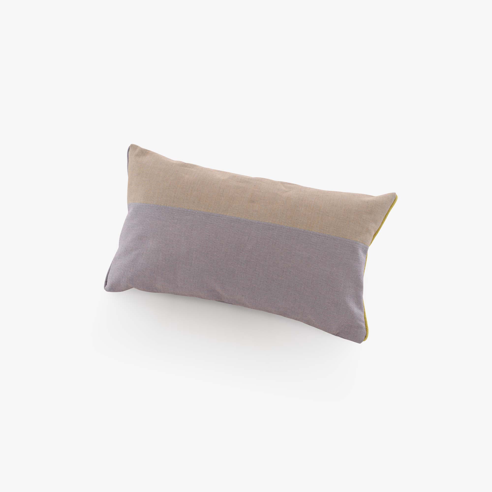 Image Cushion sable / lavande  1