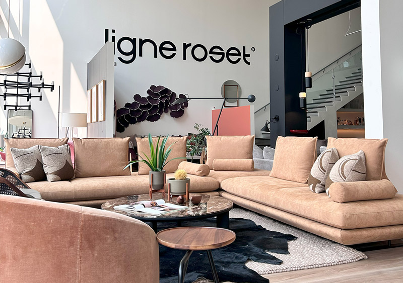 Designer furniture at EDMONTON, ALBERTA DWELL MODERN EDMONTON Ligne