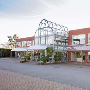 Imagen de la tienda Cookes