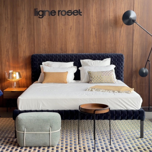 Domus Galerija  / Ligne Roset Store Image