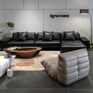 LIGNE ROSET gallery Store Image
