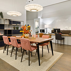 Imagen de la tienda LIGNE ROSET PARK AVENUE SOUTH