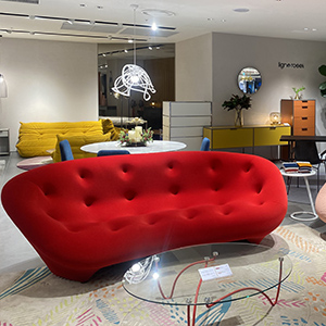 Imagen de la tienda DISAMOBILI CO LTD