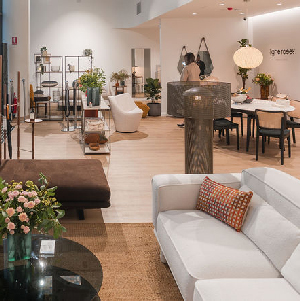 Ligne Roset The Apartment Showroom Store Image