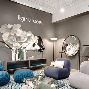 Imagen de la tienda LIGNE ROSET CHICAGO