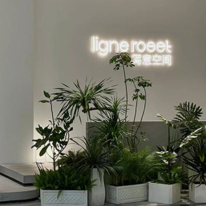 Imagen de la tienda WENZHOU CHUMMY HOME LTD