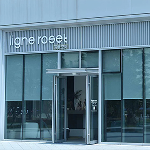 Imagen de la tienda WENZHOU