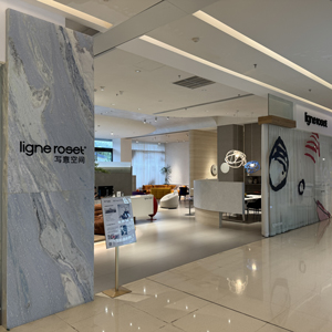 Imagen de la tienda XIAMEN XIJUE CULTURE