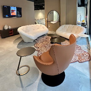 LIGNE ROSET HOUSTON Store Image