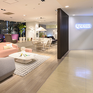 Imagen de la tienda DREAM BED CO. LTD